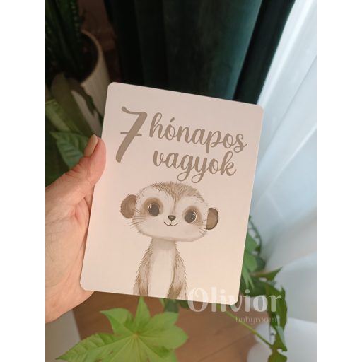 Afrikai állatos hónapkártya mérföldkő kártya