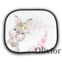 Autós napellenző névvel